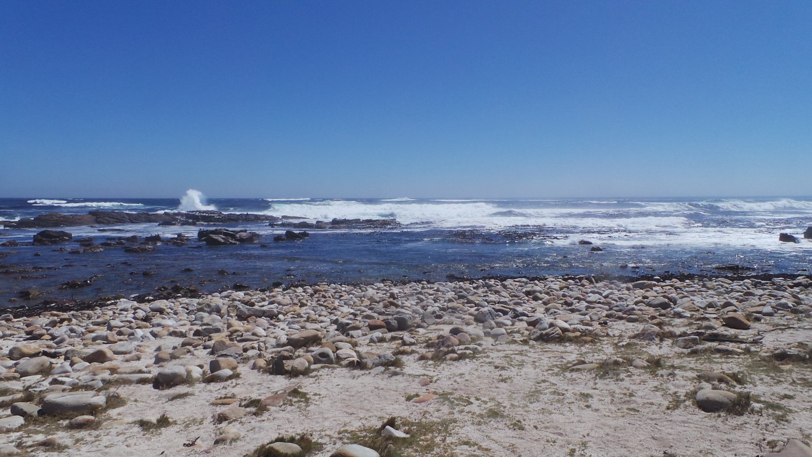 Cape of Good Hope06
